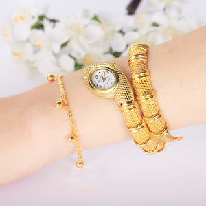 Luxury & Unique Women's Silver Gold  Snake Shaped Watch
