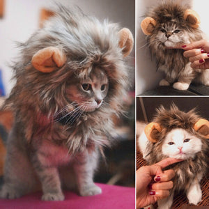 Funny Cute Party Pet Cat Lion Costume